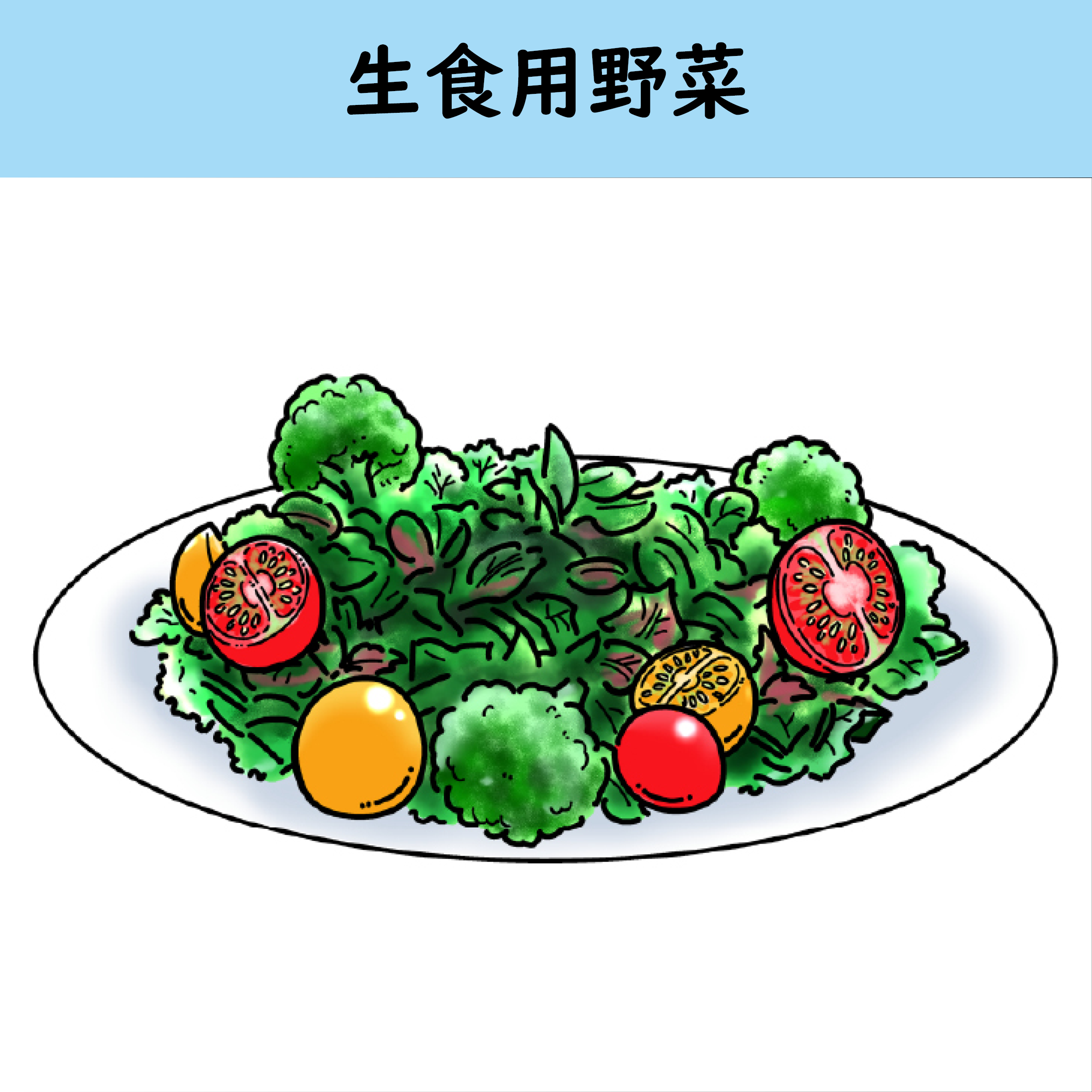 生食用野菜