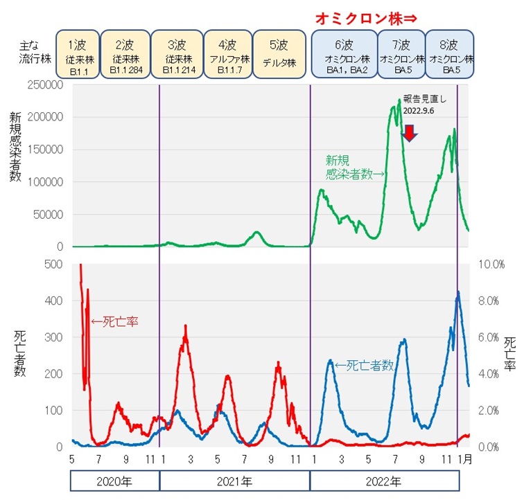 新型コロナウイルス新規感染者数および死亡者数と死亡率