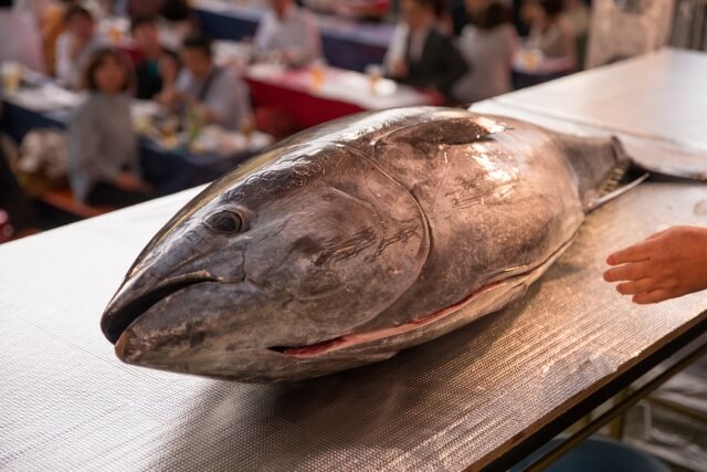 魚を食べてじんましん？ヒスタミン食中毒にご注意を！アイキャッチ