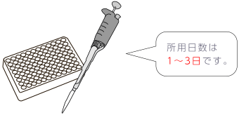 検査所要日数