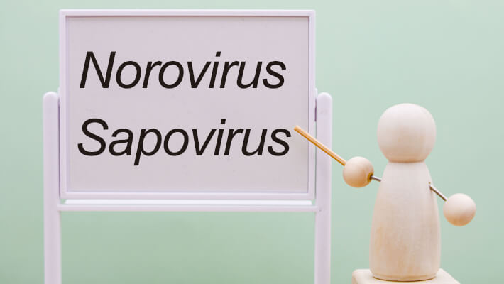 ノロウイルスおよびサポウイルスの研究動向（2022年）