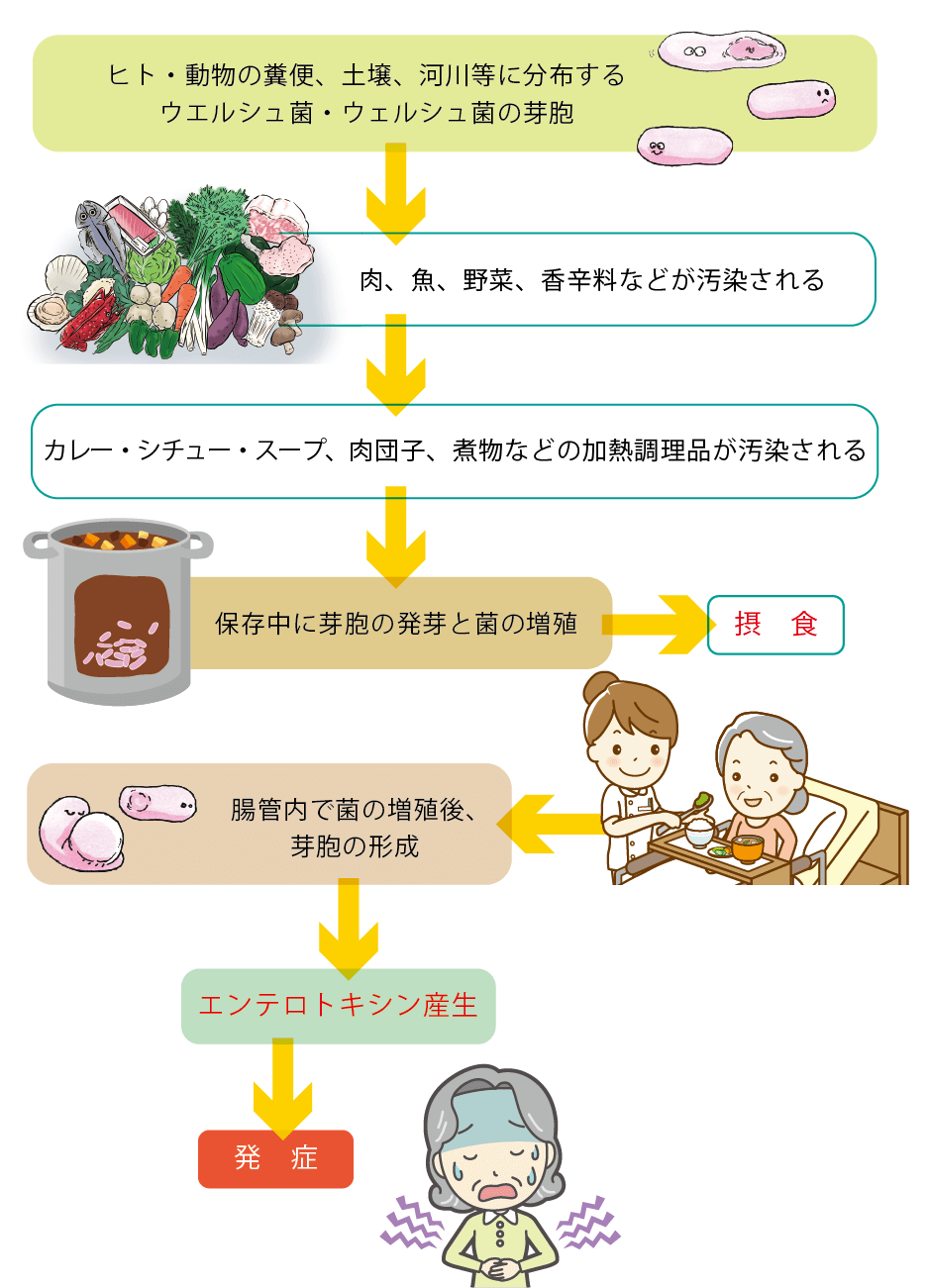 発症までのフロー